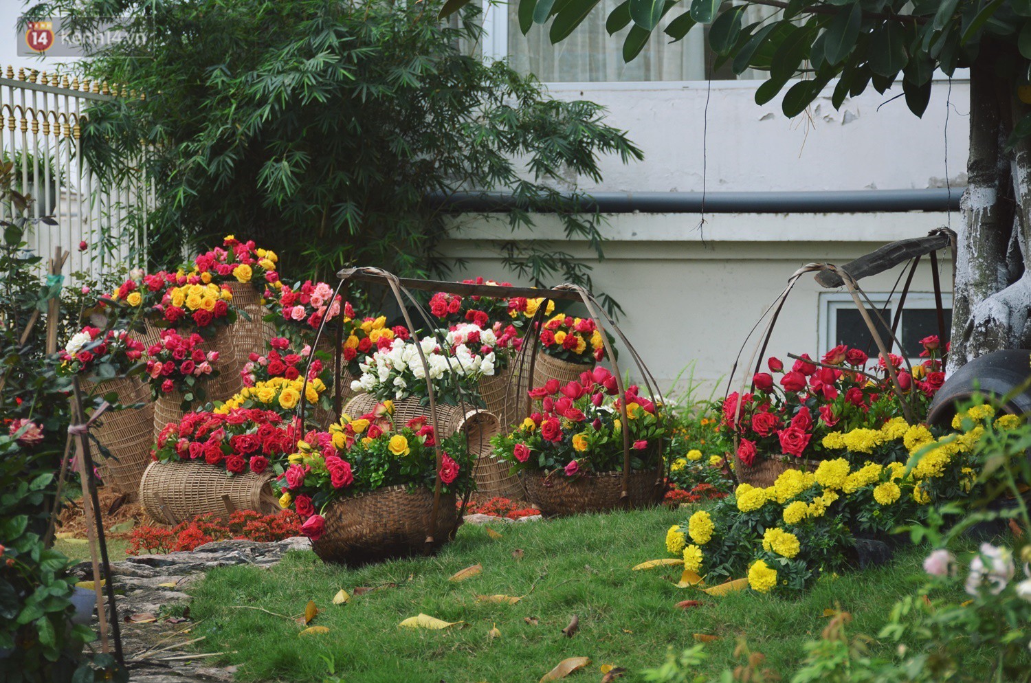 Lễ hội hoa hồng Bulgaria khoe sắc với gần 2.000 giống hoa đúng dịp Quốc tế phụ nữ 8/3